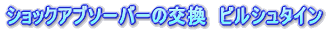�V���b�N�A�u�\�[�o�[�̌����@�r���V���^�C��