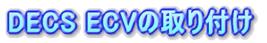 DECS ECV�̎��t��