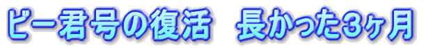 �r�[�N���̕���