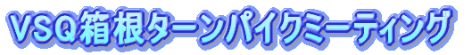 VSQ�����^�[���p�C�N�~�[�e�B���O