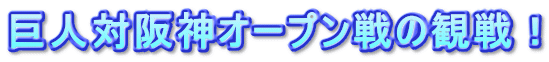 l΍_I[v̊ϐI